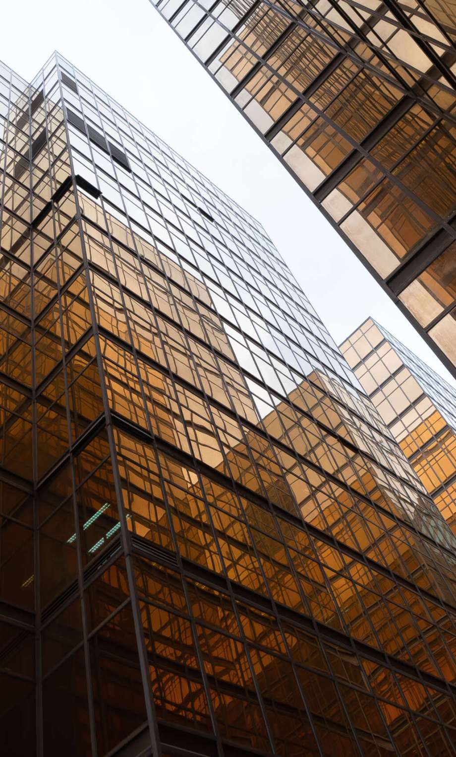 Golden building. Windows glass of modern office skyscrapers in technology and business concept. Facade design. Construction structure of architecture exterior for urban cityscape background.